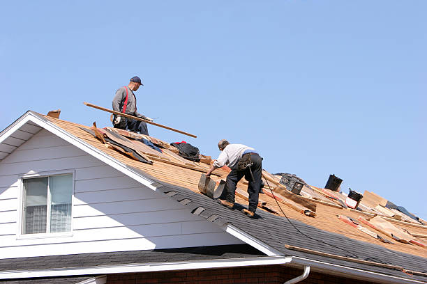 Waterproofing in South Dos Palos, CA